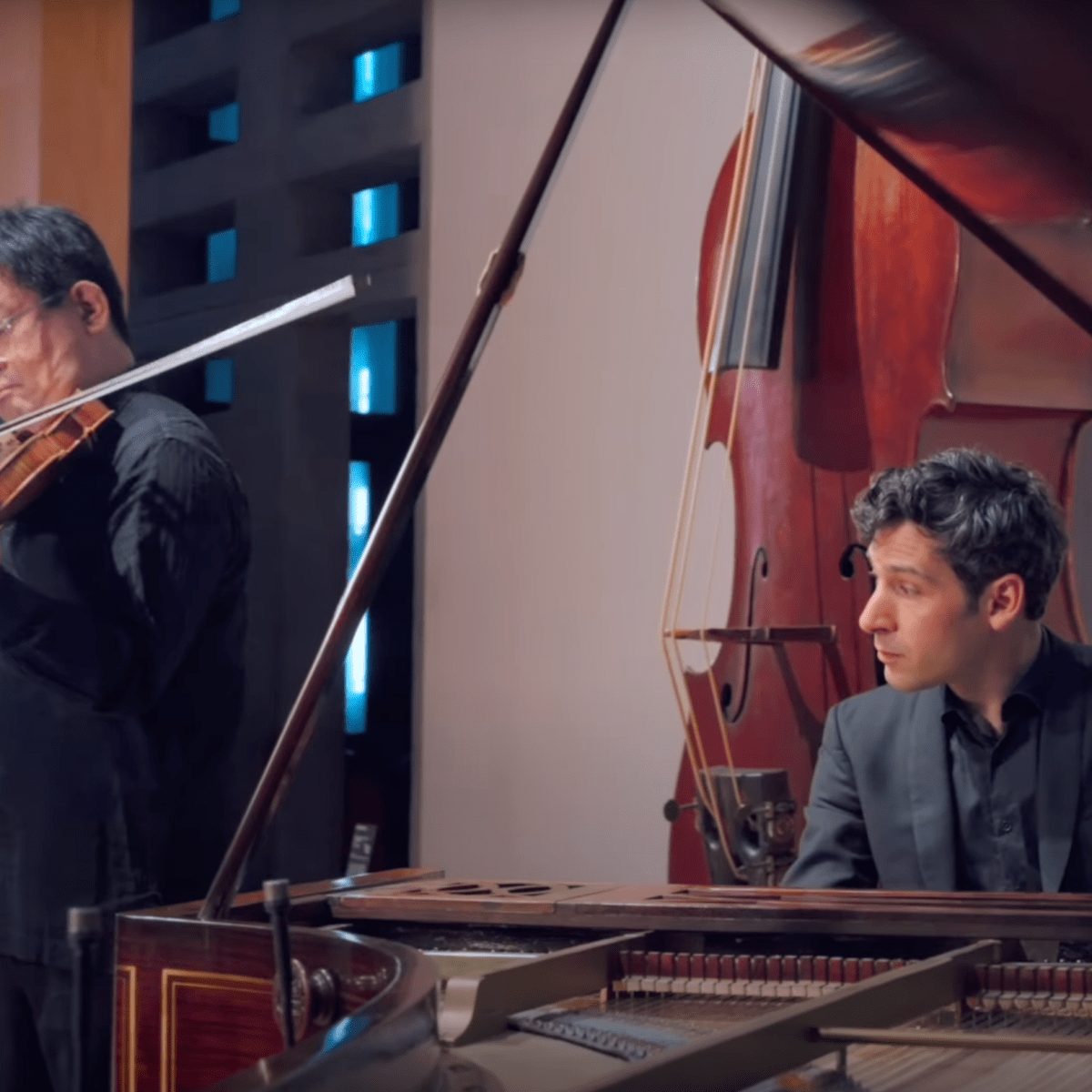 P. de Sarasate – Les Oiseaux du Chili (Pleyel&nbsp;1860)